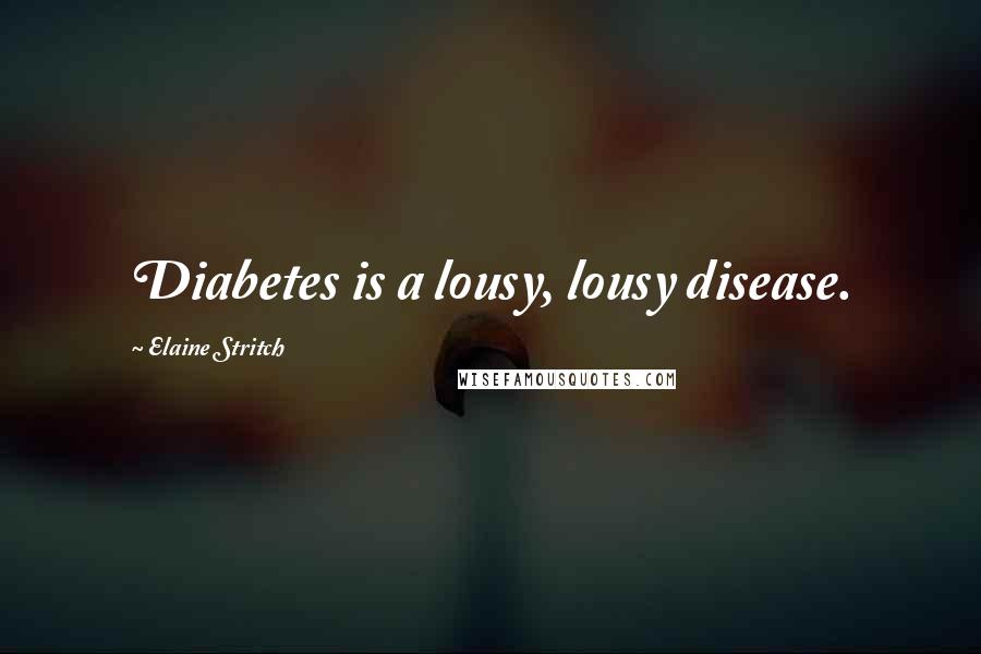 Elaine Stritch Quotes: Diabetes is a lousy, lousy disease.