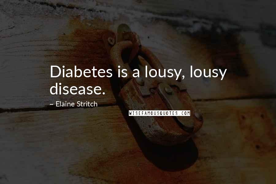 Elaine Stritch Quotes: Diabetes is a lousy, lousy disease.
