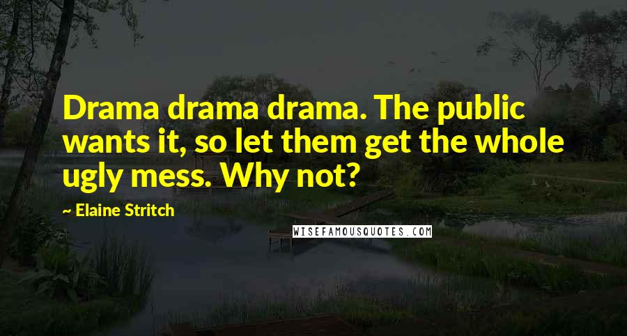 Elaine Stritch Quotes: Drama drama drama. The public wants it, so let them get the whole ugly mess. Why not?