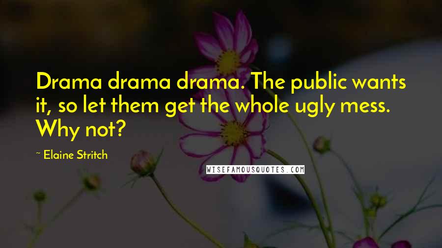 Elaine Stritch Quotes: Drama drama drama. The public wants it, so let them get the whole ugly mess. Why not?