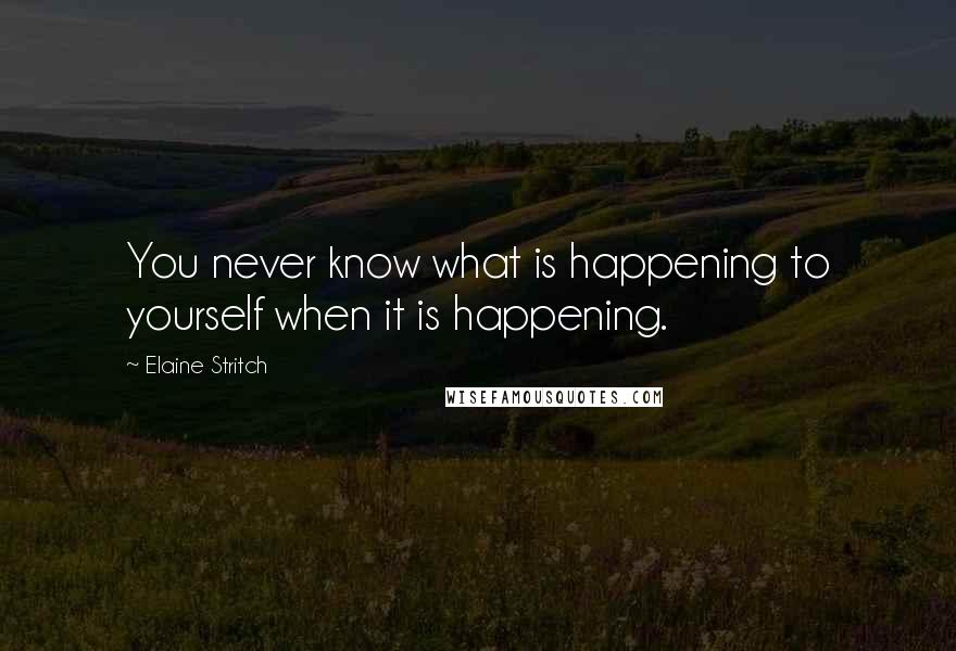 Elaine Stritch Quotes: You never know what is happening to yourself when it is happening.