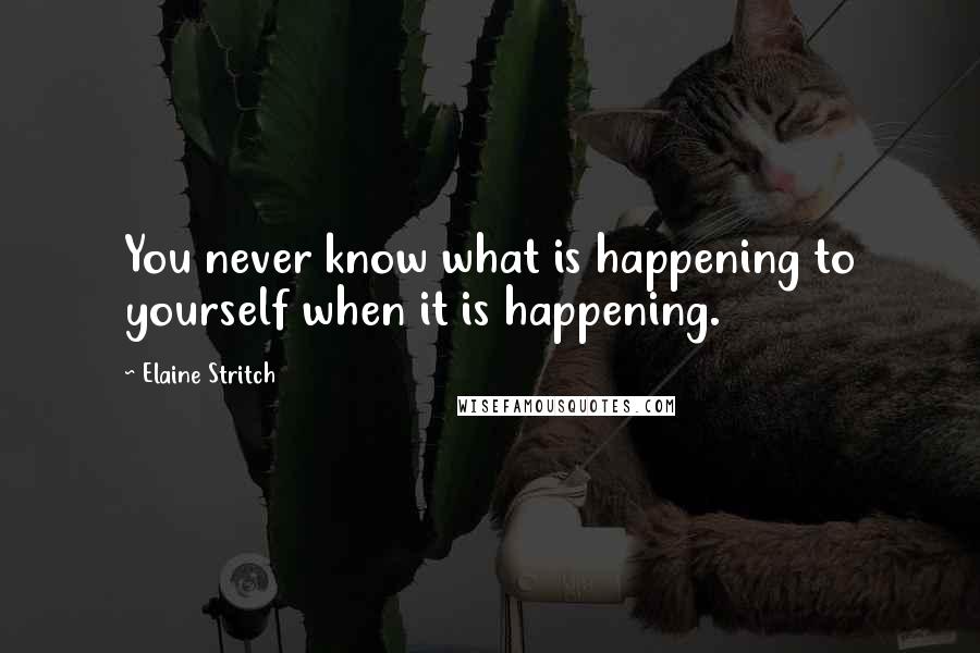 Elaine Stritch Quotes: You never know what is happening to yourself when it is happening.