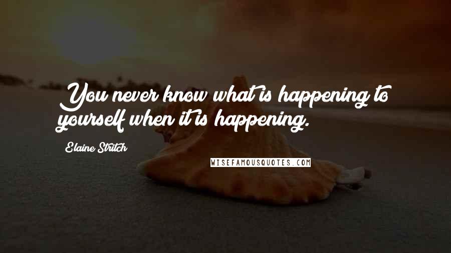 Elaine Stritch Quotes: You never know what is happening to yourself when it is happening.