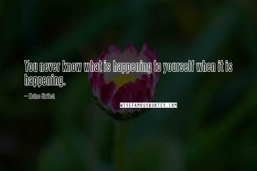 Elaine Stritch Quotes: You never know what is happening to yourself when it is happening.