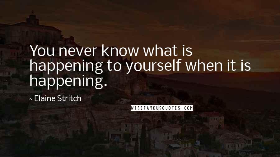 Elaine Stritch Quotes: You never know what is happening to yourself when it is happening.