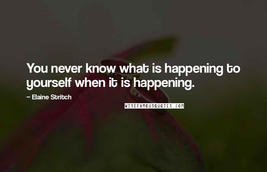 Elaine Stritch Quotes: You never know what is happening to yourself when it is happening.