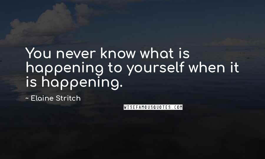 Elaine Stritch Quotes: You never know what is happening to yourself when it is happening.