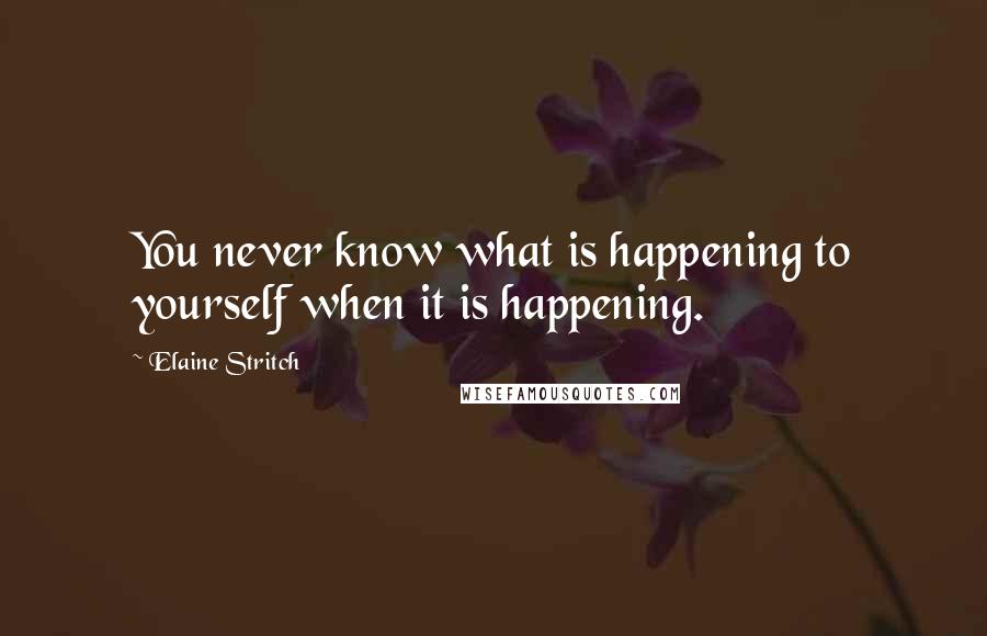 Elaine Stritch Quotes: You never know what is happening to yourself when it is happening.