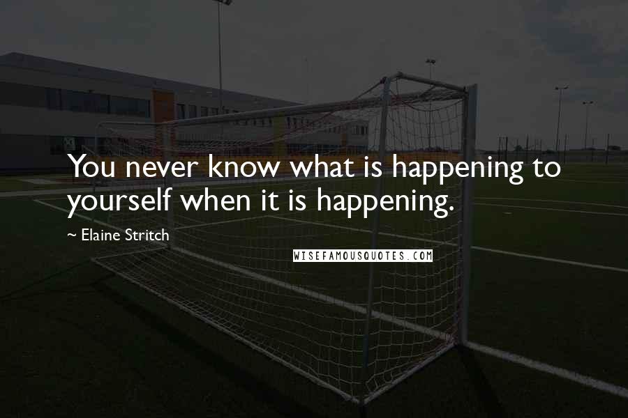 Elaine Stritch Quotes: You never know what is happening to yourself when it is happening.