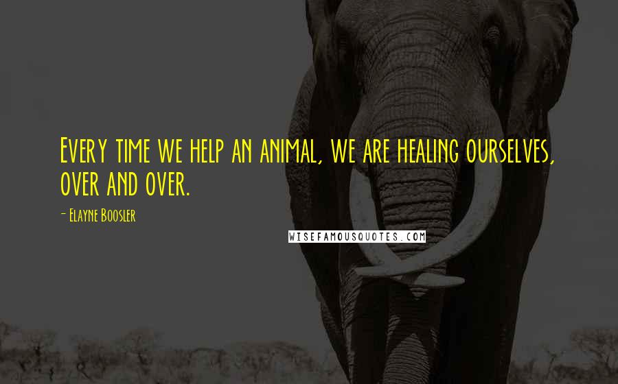 Elayne Boosler Quotes: Every time we help an animal, we are healing ourselves, over and over.