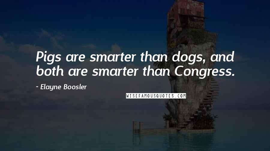 Elayne Boosler Quotes: Pigs are smarter than dogs, and both are smarter than Congress.