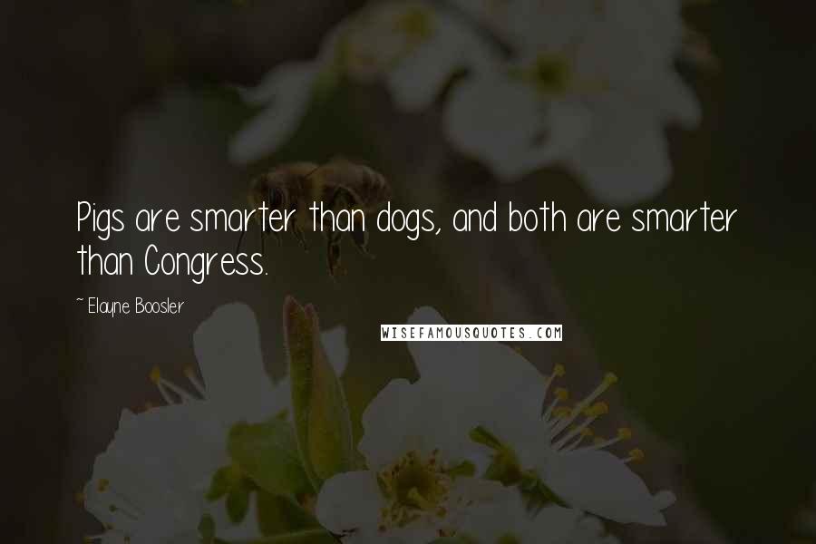 Elayne Boosler Quotes: Pigs are smarter than dogs, and both are smarter than Congress.