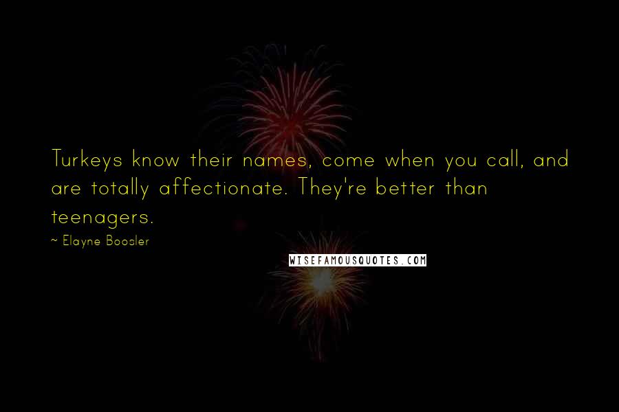 Elayne Boosler Quotes: Turkeys know their names, come when you call, and are totally affectionate. They're better than teenagers.