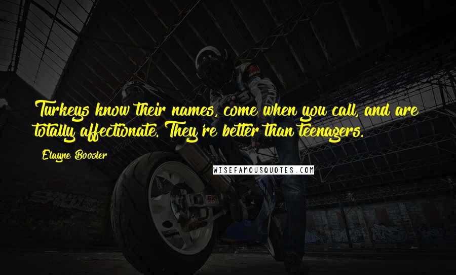 Elayne Boosler Quotes: Turkeys know their names, come when you call, and are totally affectionate. They're better than teenagers.