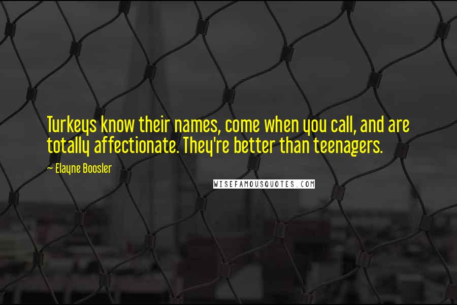 Elayne Boosler Quotes: Turkeys know their names, come when you call, and are totally affectionate. They're better than teenagers.