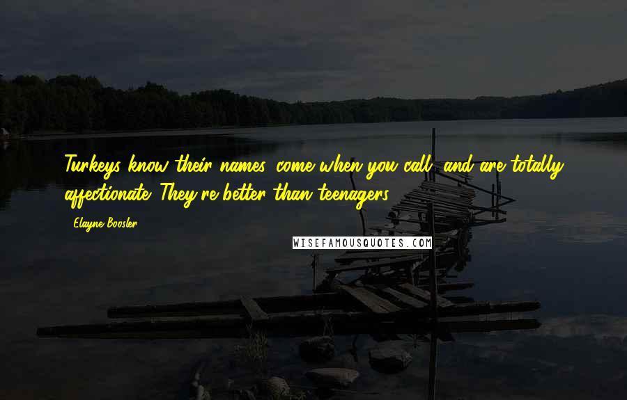 Elayne Boosler Quotes: Turkeys know their names, come when you call, and are totally affectionate. They're better than teenagers.