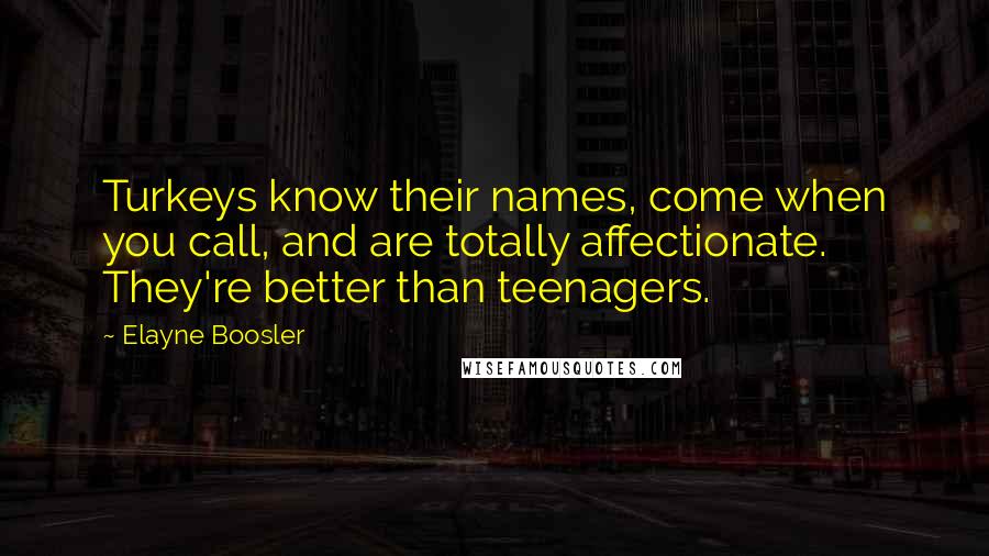 Elayne Boosler Quotes: Turkeys know their names, come when you call, and are totally affectionate. They're better than teenagers.
