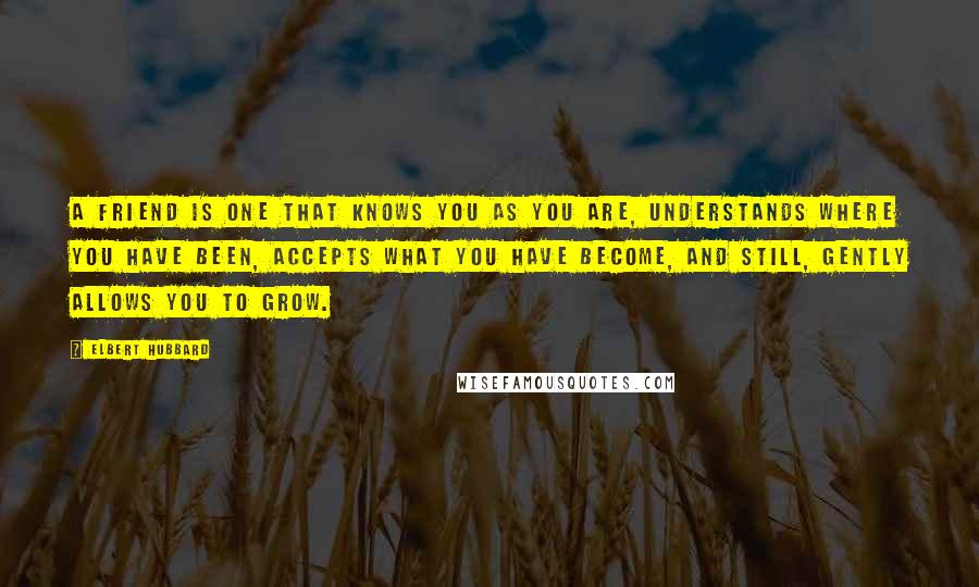 Elbert Hubbard Quotes: A friend is one that knows you as you are, understands where you have been, accepts what you have become, and still, gently allows you to grow.