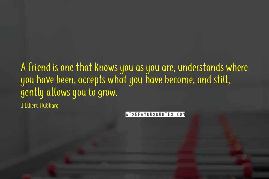 Elbert Hubbard Quotes: A friend is one that knows you as you are, understands where you have been, accepts what you have become, and still, gently allows you to grow.