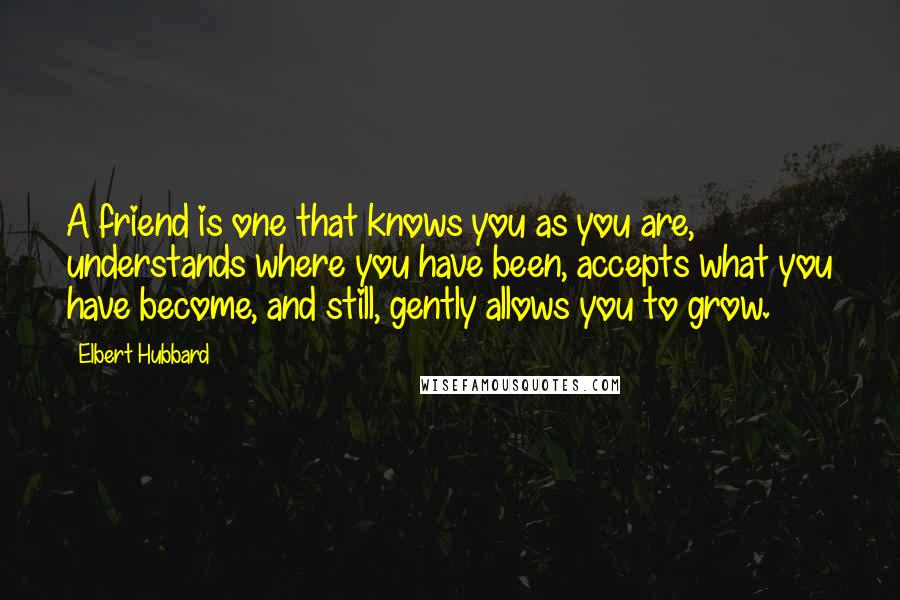 Elbert Hubbard Quotes: A friend is one that knows you as you are, understands where you have been, accepts what you have become, and still, gently allows you to grow.