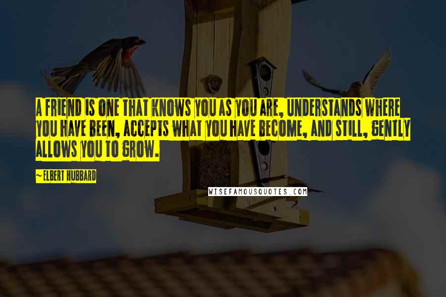 Elbert Hubbard Quotes: A friend is one that knows you as you are, understands where you have been, accepts what you have become, and still, gently allows you to grow.