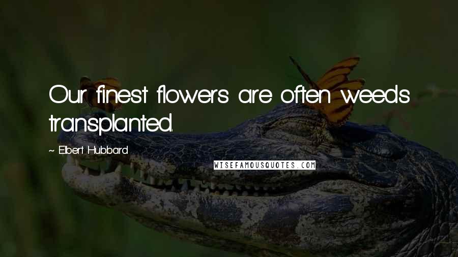 Elbert Hubbard Quotes: Our finest flowers are often weeds transplanted.
