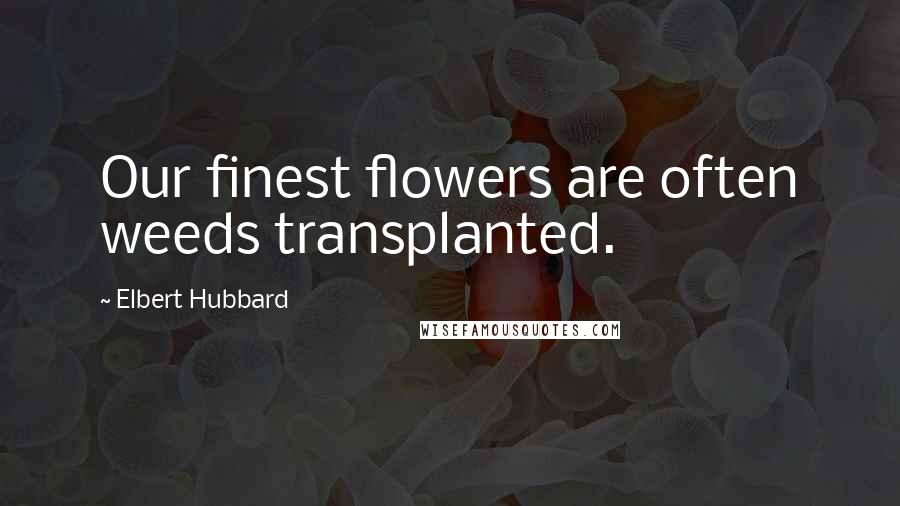 Elbert Hubbard Quotes: Our finest flowers are often weeds transplanted.