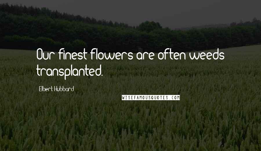 Elbert Hubbard Quotes: Our finest flowers are often weeds transplanted.