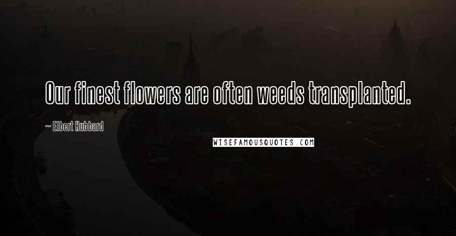 Elbert Hubbard Quotes: Our finest flowers are often weeds transplanted.
