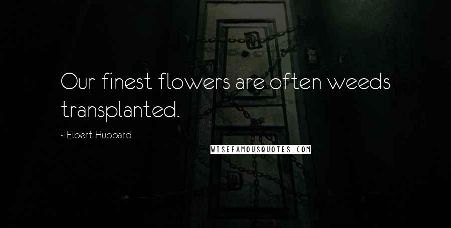 Elbert Hubbard Quotes: Our finest flowers are often weeds transplanted.