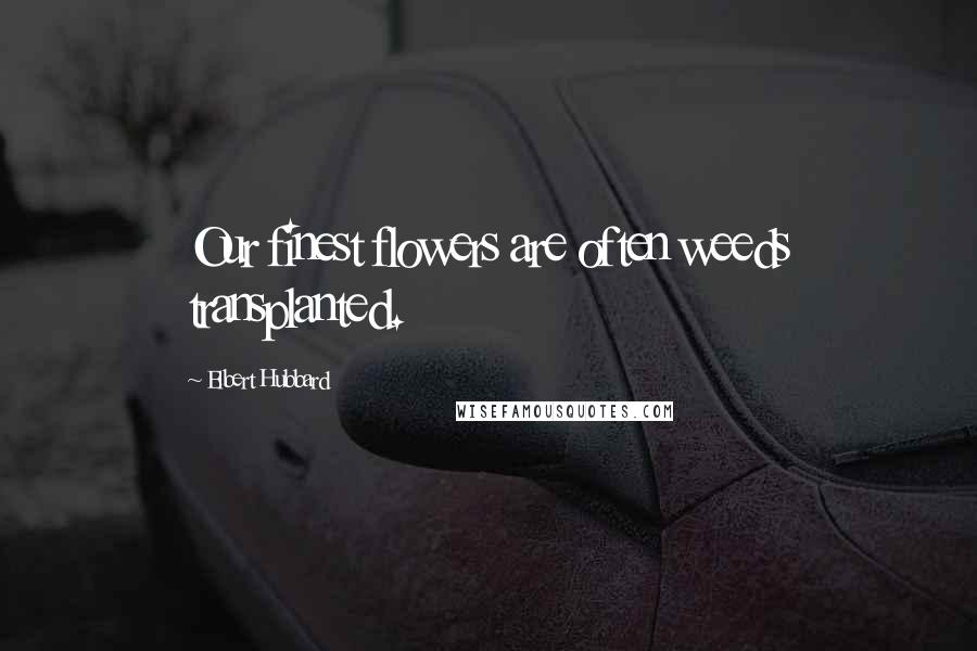 Elbert Hubbard Quotes: Our finest flowers are often weeds transplanted.
