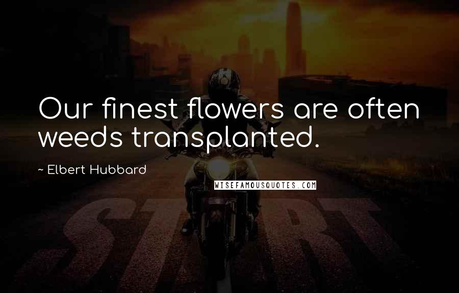 Elbert Hubbard Quotes: Our finest flowers are often weeds transplanted.