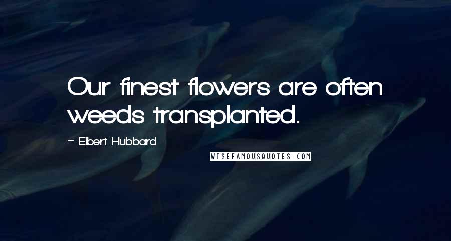 Elbert Hubbard Quotes: Our finest flowers are often weeds transplanted.