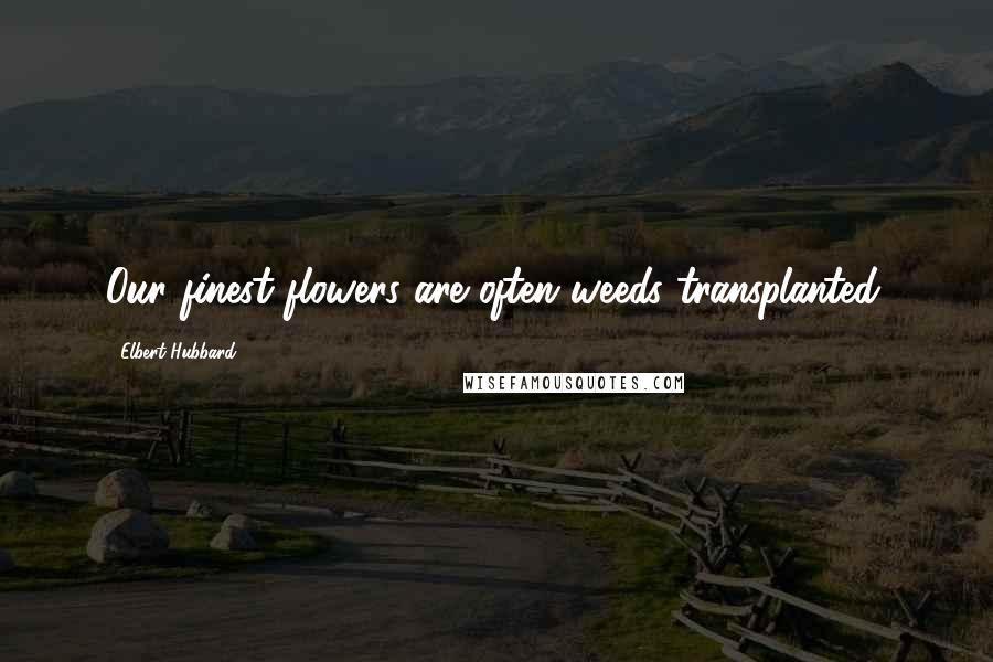Elbert Hubbard Quotes: Our finest flowers are often weeds transplanted.