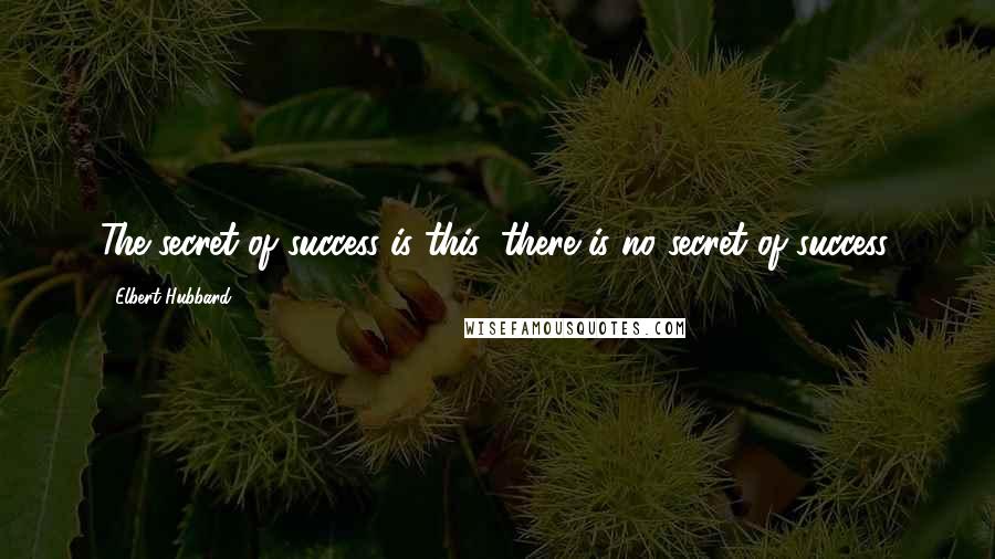 Elbert Hubbard Quotes: The secret of success is this: there is no secret of success.