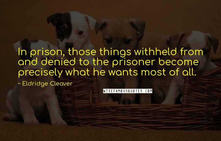 Eldridge Cleaver Quotes: In prison, those things withheld from and denied to the prisoner become precisely what he wants most of all.