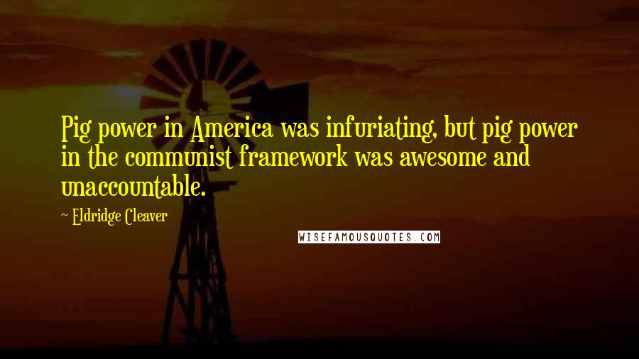 Eldridge Cleaver Quotes: Pig power in America was infuriating, but pig power in the communist framework was awesome and unaccountable.