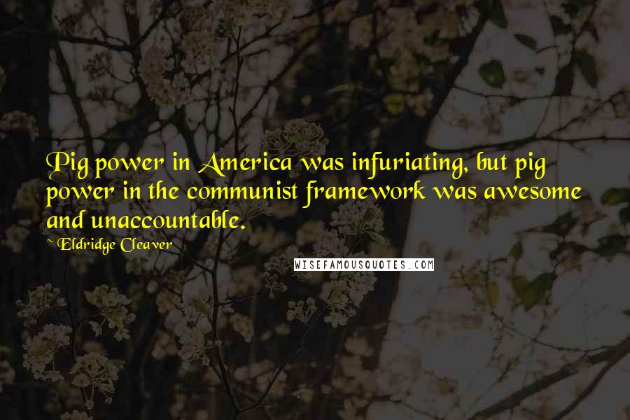 Eldridge Cleaver Quotes: Pig power in America was infuriating, but pig power in the communist framework was awesome and unaccountable.