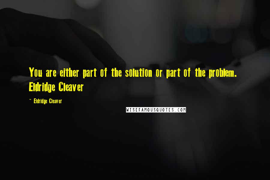 Eldridge Cleaver Quotes: You are either part of the solution or part of the problem. Eldridge Cleaver