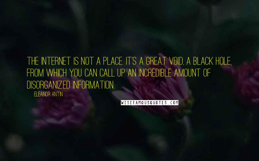 Eleanor Antin Quotes: The Internet is not a place. It's a great void, a black hole, from which you can call up an incredible amount of disorganized information.