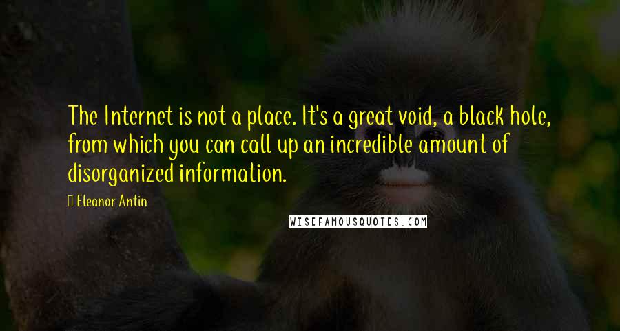 Eleanor Antin Quotes: The Internet is not a place. It's a great void, a black hole, from which you can call up an incredible amount of disorganized information.