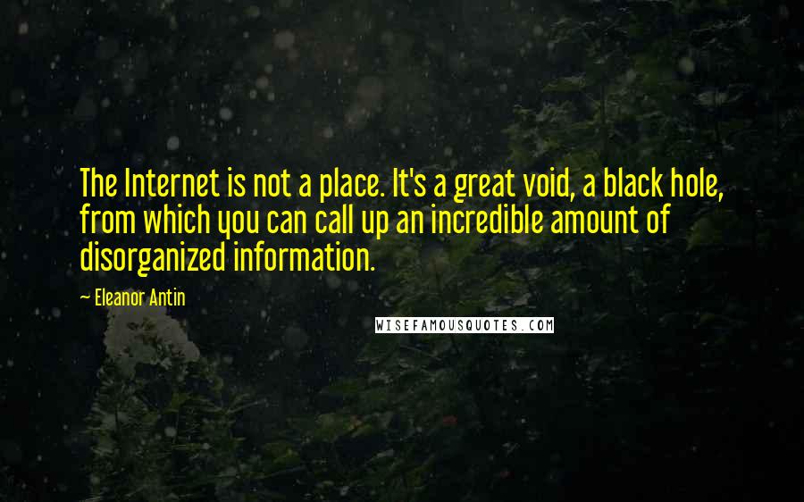 Eleanor Antin Quotes: The Internet is not a place. It's a great void, a black hole, from which you can call up an incredible amount of disorganized information.