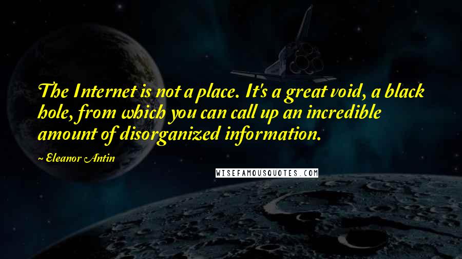 Eleanor Antin Quotes: The Internet is not a place. It's a great void, a black hole, from which you can call up an incredible amount of disorganized information.