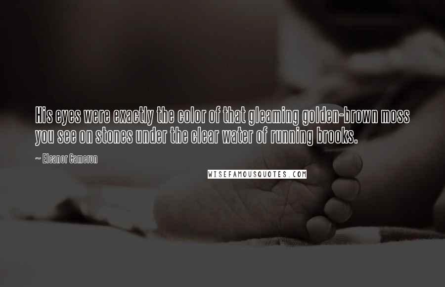 Eleanor Cameron Quotes: His eyes were exactly the color of that gleaming golden-brown moss you see on stones under the clear water of running brooks.