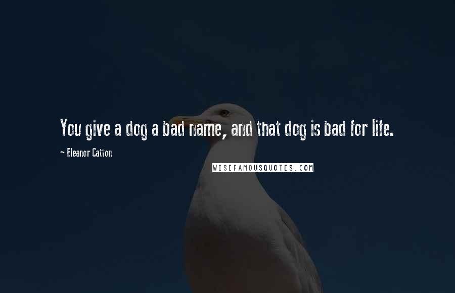 Eleanor Catton Quotes: You give a dog a bad name, and that dog is bad for life.