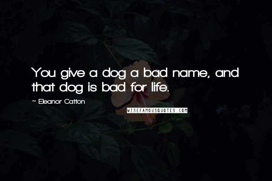 Eleanor Catton Quotes: You give a dog a bad name, and that dog is bad for life.