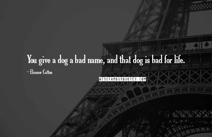 Eleanor Catton Quotes: You give a dog a bad name, and that dog is bad for life.