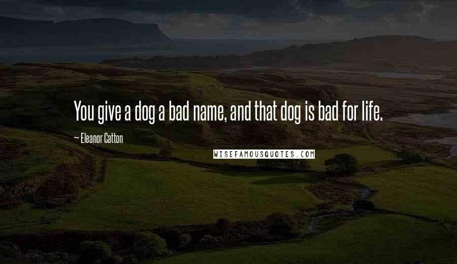 Eleanor Catton Quotes: You give a dog a bad name, and that dog is bad for life.