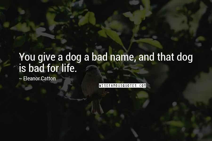 Eleanor Catton Quotes: You give a dog a bad name, and that dog is bad for life.