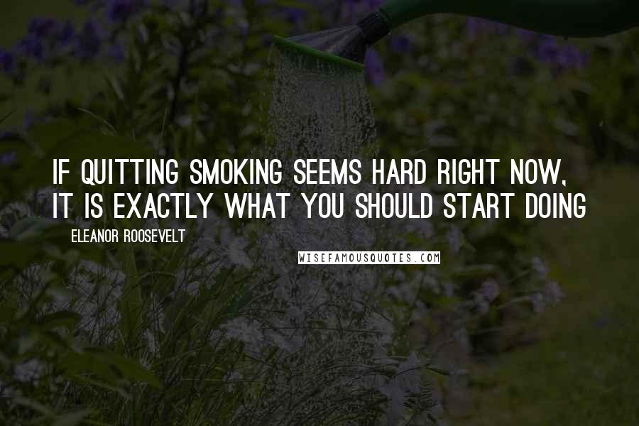 Eleanor Roosevelt Quotes: If quitting smoking seems hard right now, it is exactly what you should start doing